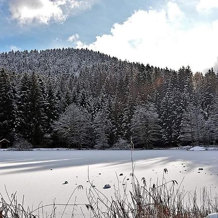 Le Petit Vosgien Apartman Gérardmer Kültér fotó