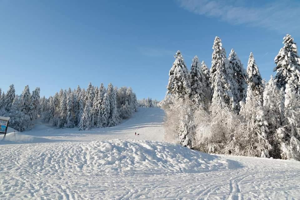 Le Petit Vosgien Apartman Gérardmer Kültér fotó